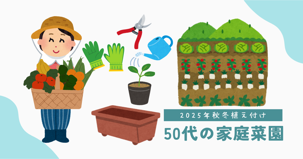 50代主婦が家庭菜園を始めました！初心者が秋冬野菜にも挑戦します‼