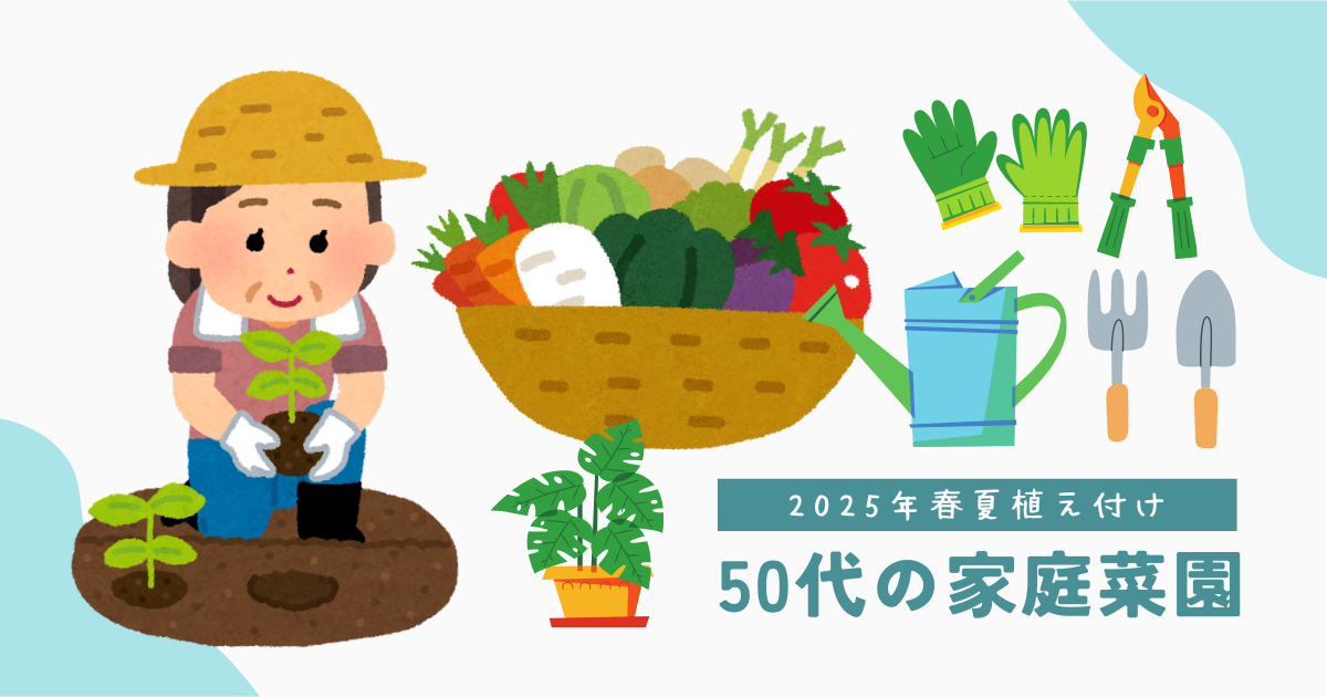 50代主婦が家庭菜園を始めました！初心者の奮闘記です‼